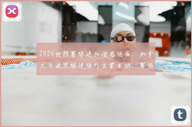 2026世预赛球迷和谐名场面：加拿大与波黑球迷场外击掌互动，赛场外的友谊瞬间全记录